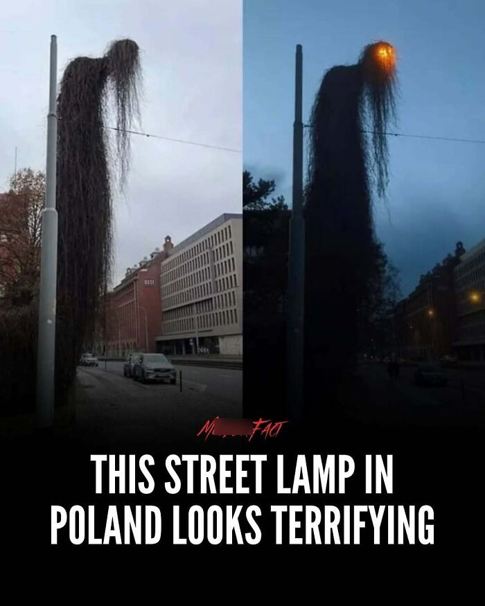Wait, They Actually Shared These Totally Weird and Scary News Stories?