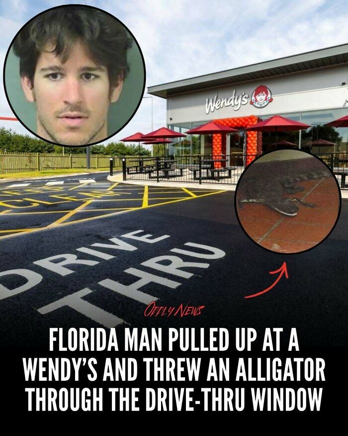Wait, They Actually Shared These Totally Weird and Scary News Stories?