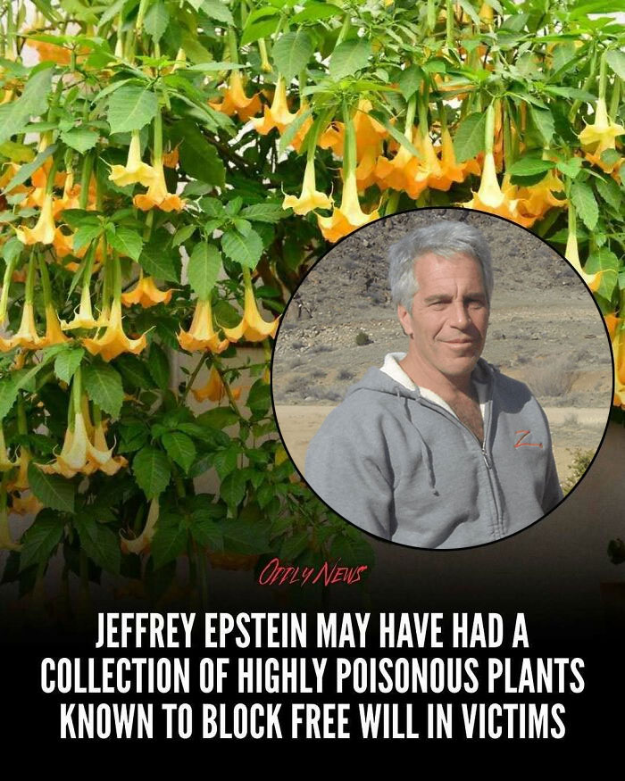 Wait, They Actually Shared These Totally Weird and Scary News Stories?