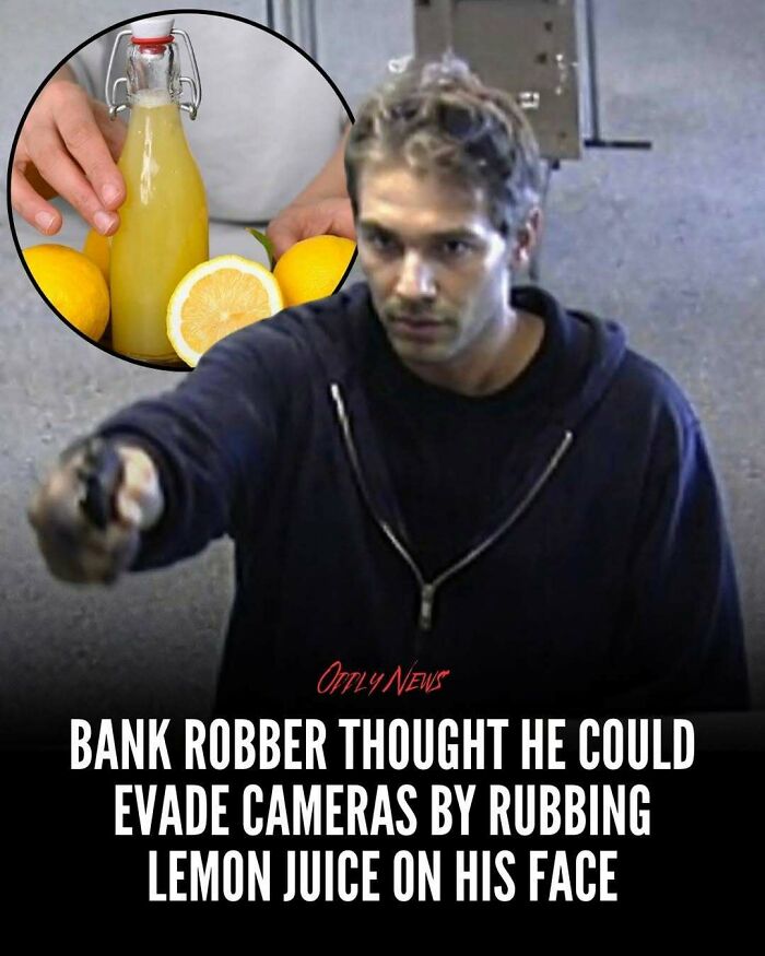 Wait, They Actually Shared These Totally Weird and Scary News Stories?