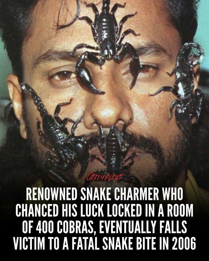 Wait, They Actually Shared These Totally Weird and Scary News Stories?