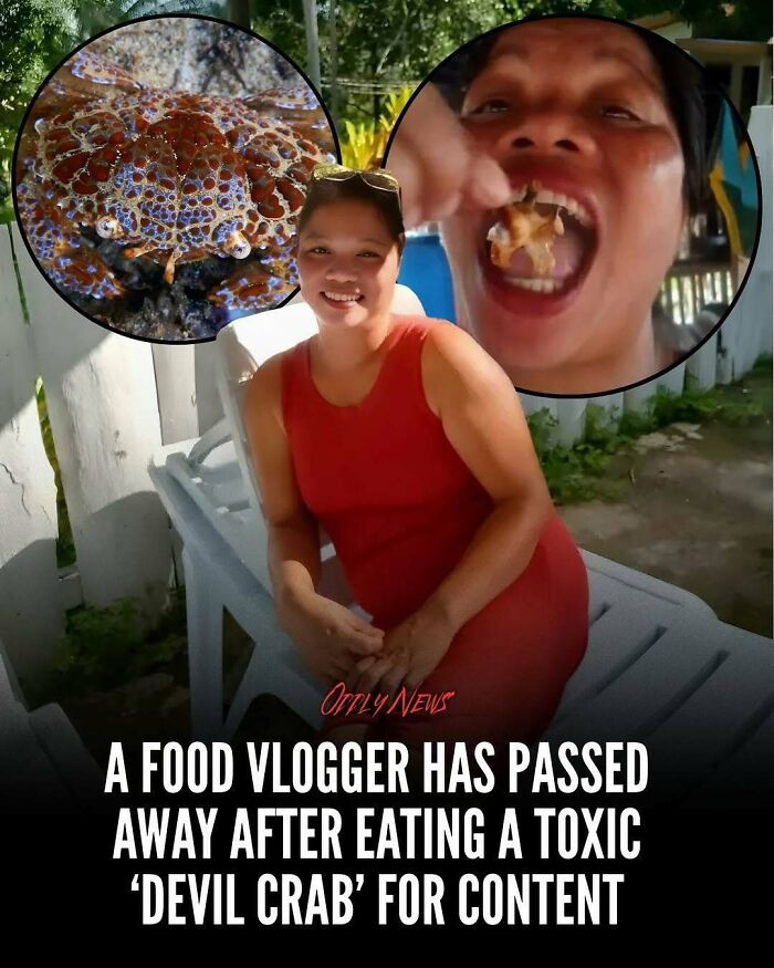 Wait, They Actually Shared These Totally Weird and Scary News Stories?