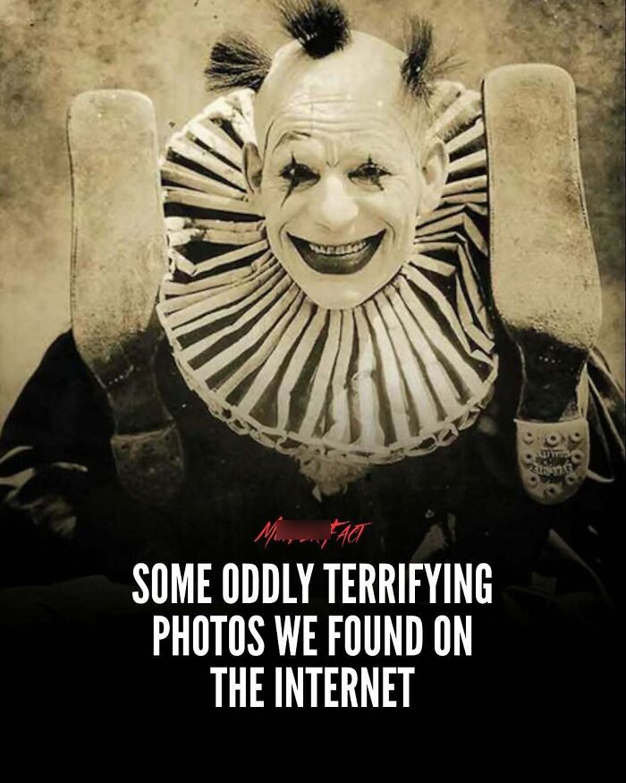 Wait, They Actually Shared These Totally Weird and Scary News Stories?