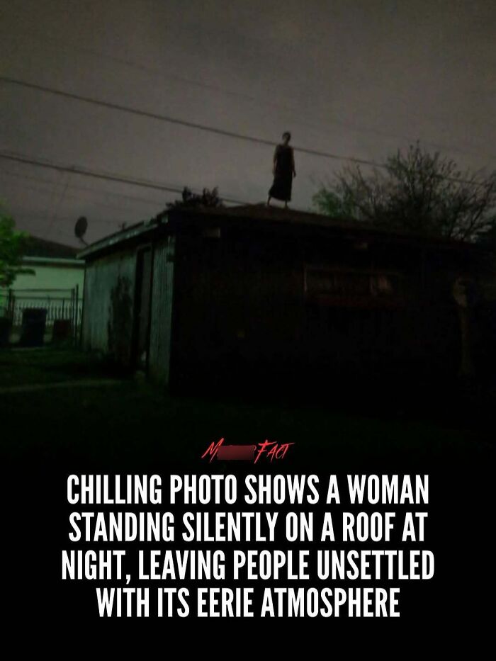 Wait, They Actually Shared These Totally Weird and Scary News Stories?