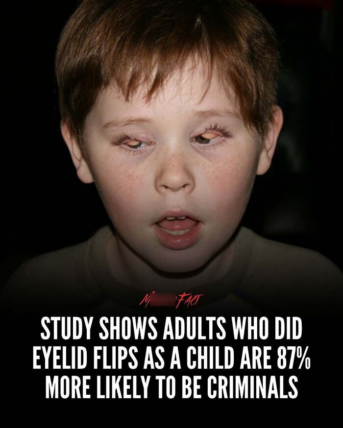 Wait, They Actually Shared These Totally Weird and Scary News Stories?