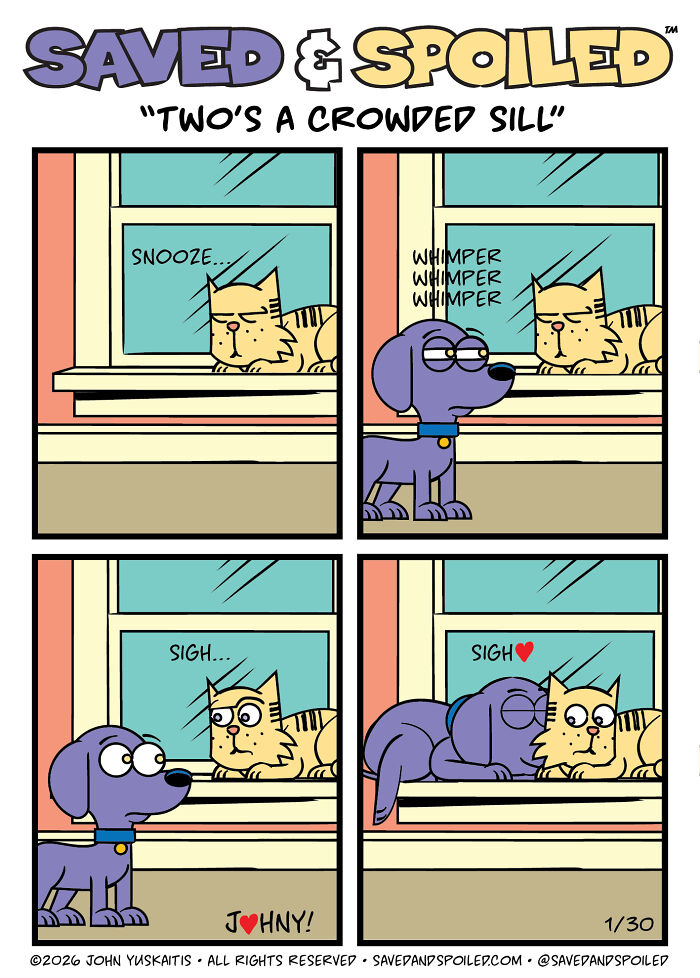 30 Comics That Prove Dogs and Cats Are Total Opposites (And We Love It)