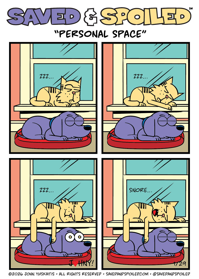 30 Comics That Prove Dogs and Cats Are Total Opposites (And We Love It)