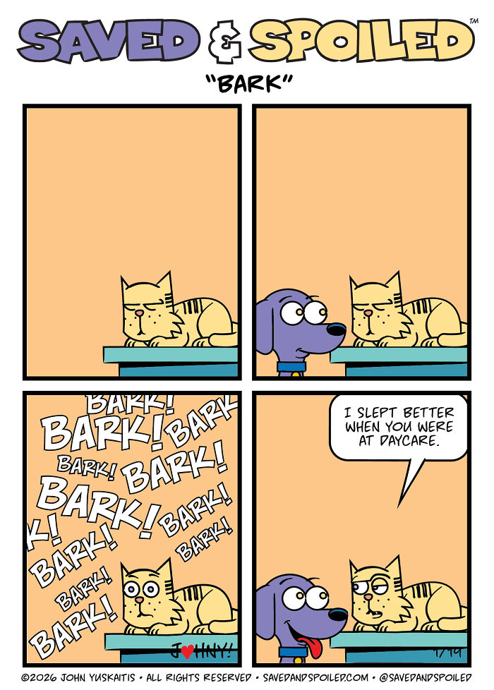 30 Comics That Prove Dogs and Cats Are Total Opposites (And We Love It)
