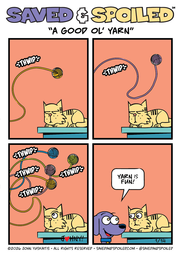 30 Comics That Prove Dogs and Cats Are Total Opposites (And We Love It)