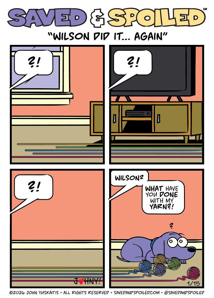30 Comics That Prove Dogs and Cats Are Total Opposites (And We Love It)