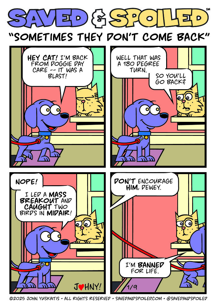 30 Comics That Prove Dogs and Cats Are Total Opposites (And We Love It)