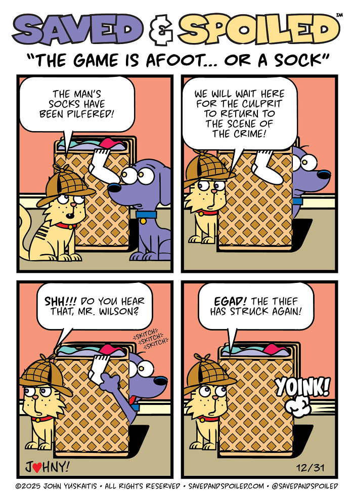 30 Comics That Prove Dogs and Cats Are Total Opposites (And We Love It)