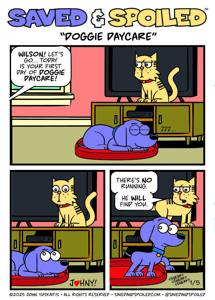 30 Comics That Prove Dogs and Cats Are Total Opposites (And We Love It)