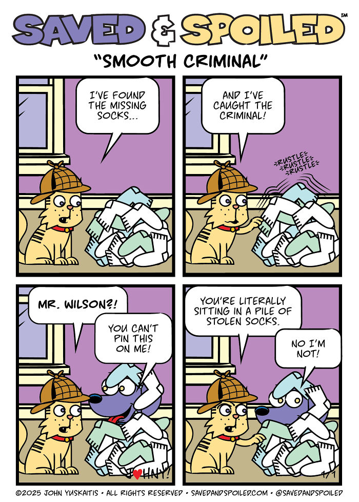 30 Comics That Prove Dogs and Cats Are Total Opposites (And We Love It)