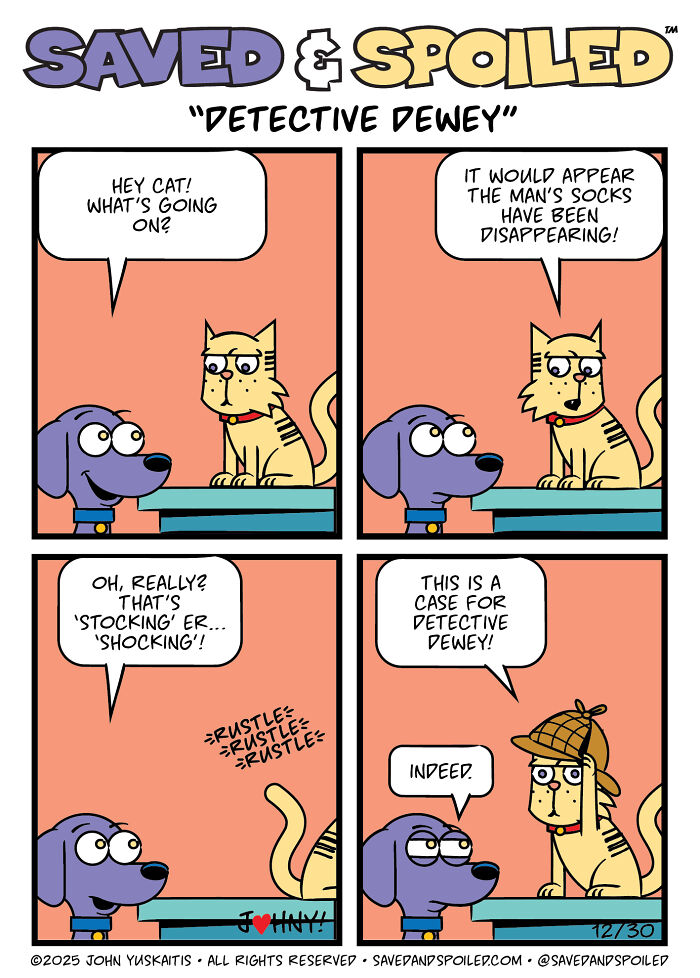 30 Comics That Prove Dogs and Cats Are Total Opposites (And We Love It)