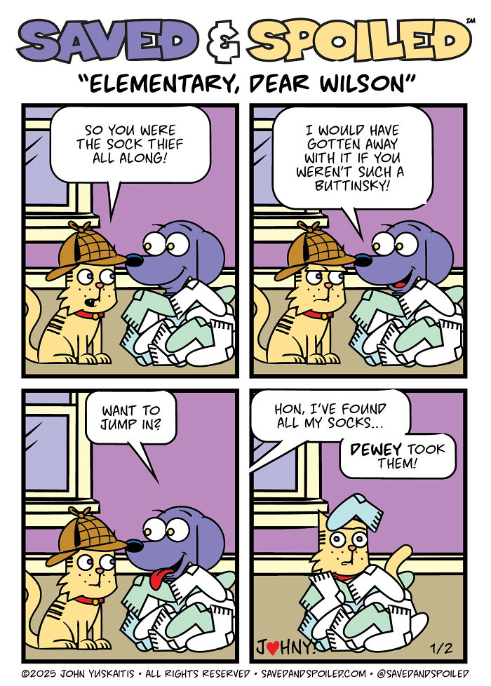 30 Comics That Prove Dogs and Cats Are Total Opposites (And We Love It)