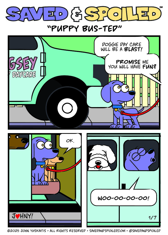 30 Comics That Prove Dogs and Cats Are Total Opposites (And We Love It)