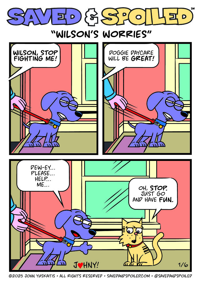 30 Comics That Prove Dogs and Cats Are Total Opposites (And We Love It)