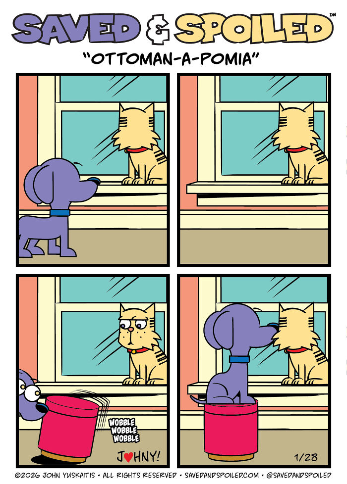 30 Comics That Prove Dogs and Cats Are Total Opposites (And We Love It)