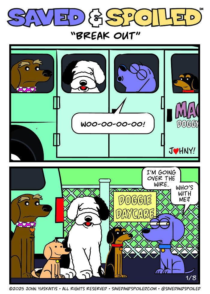 30 Comics That Prove Dogs and Cats Are Total Opposites (And We Love It)