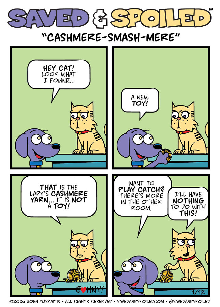 30 Comics That Prove Dogs and Cats Are Total Opposites (And We Love It)