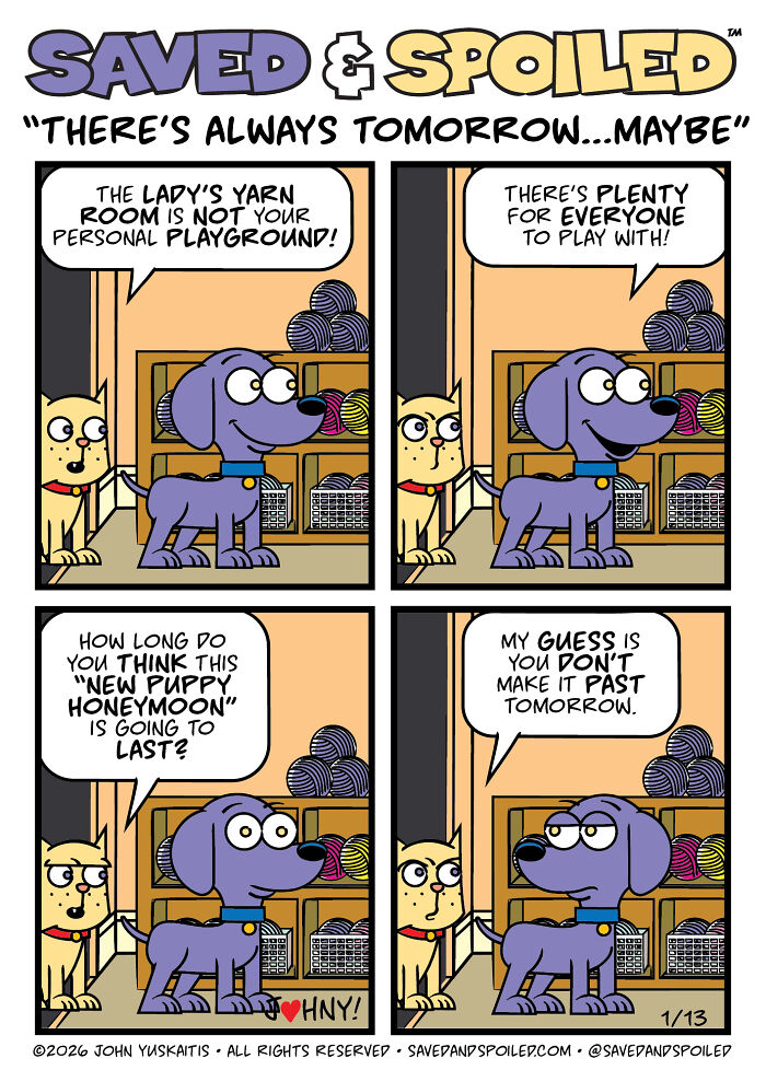 30 Comics That Prove Dogs and Cats Are Total Opposites (And We Love It)