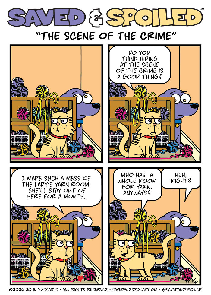30 Comics That Prove Dogs and Cats Are Total Opposites (And We Love It)