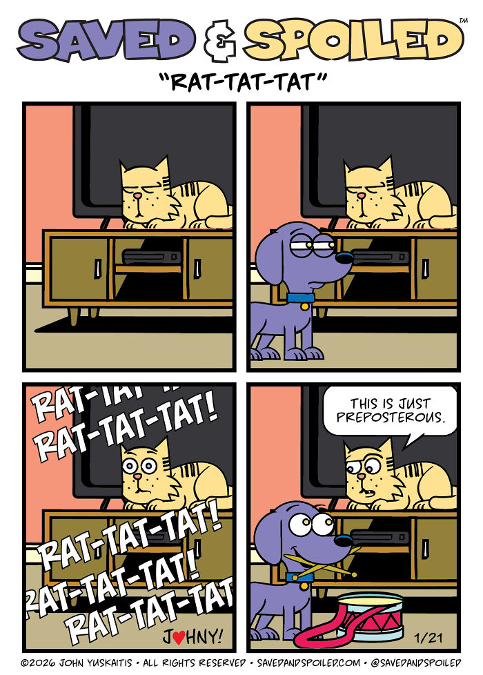 30 Comics That Prove Dogs and Cats Are Total Opposites (And We Love It)