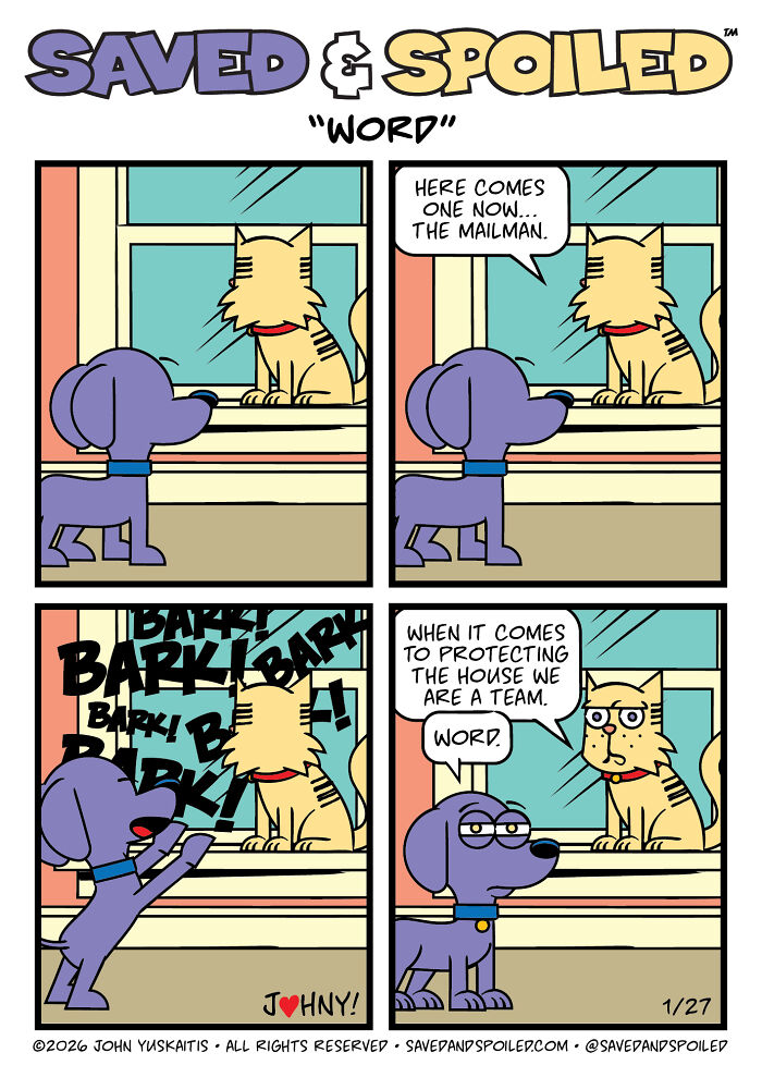 30 Comics That Prove Dogs and Cats Are Total Opposites (And We Love It)