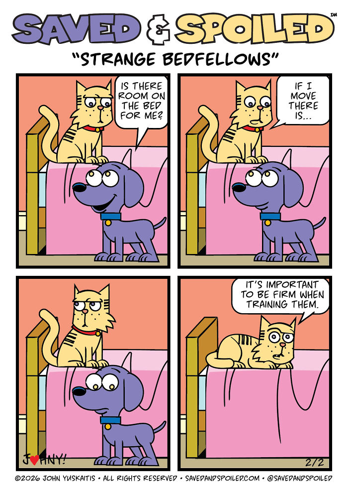 30 Comics That Prove Dogs and Cats Are Total Opposites (And We Love It)