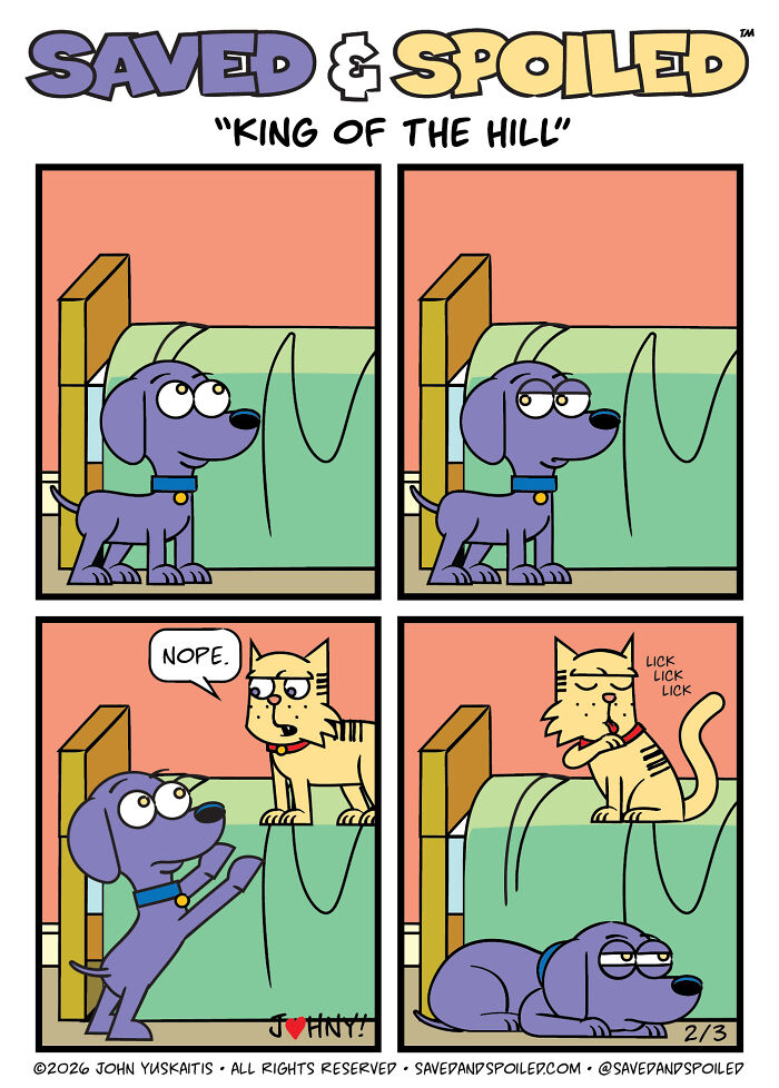 30 Comics That Prove Dogs and Cats Are Total Opposites (And We Love It)