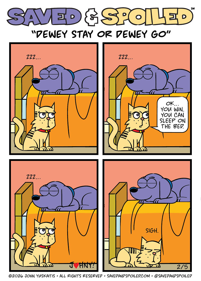 30 Comics That Prove Dogs and Cats Are Total Opposites (And We Love It)