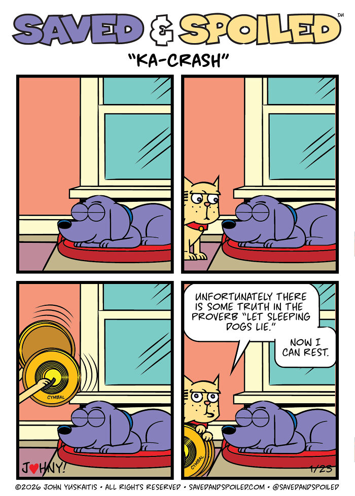 30 Comics That Prove Dogs and Cats Are Total Opposites (And We Love It)