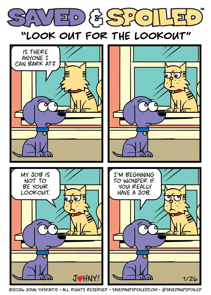 30 Comics That Prove Dogs and Cats Are Total Opposites (And We Love It)