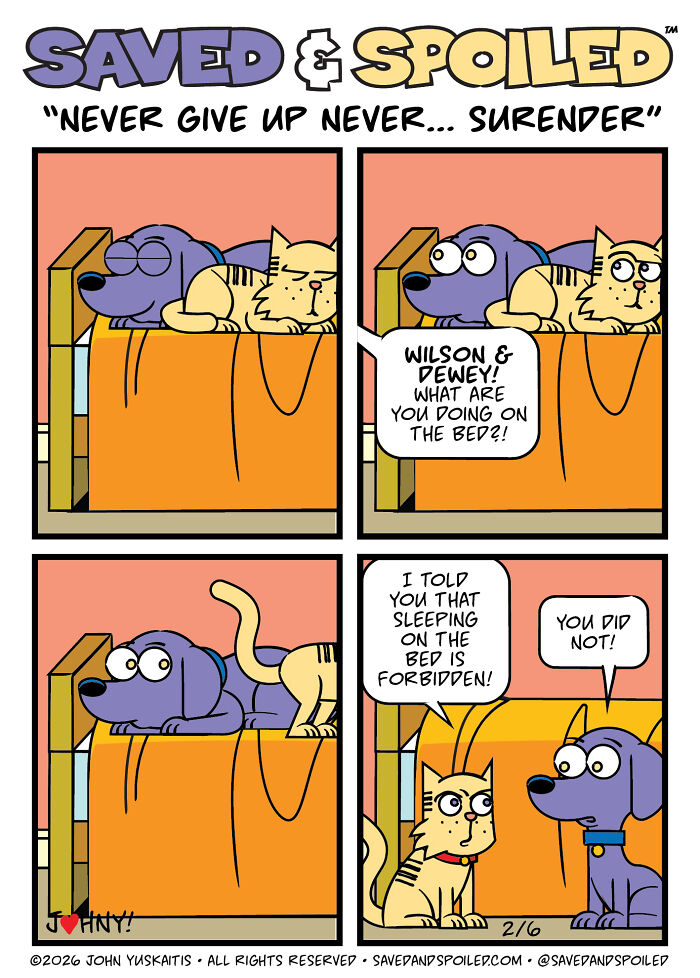30 Comics That Prove Dogs and Cats Are Total Opposites (And We Love It)