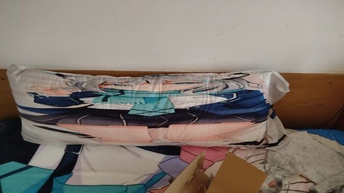 My Friend's Temu Bodypillow Just... Wow