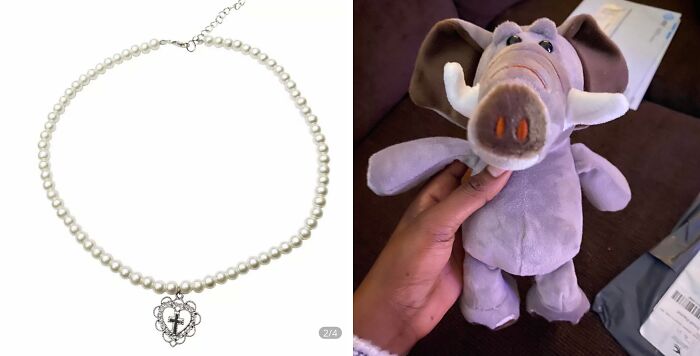 What I Ordered Versus What I Actually Got