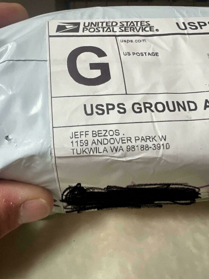 Is Jeff Bezos Delivering Temu Orders Now?