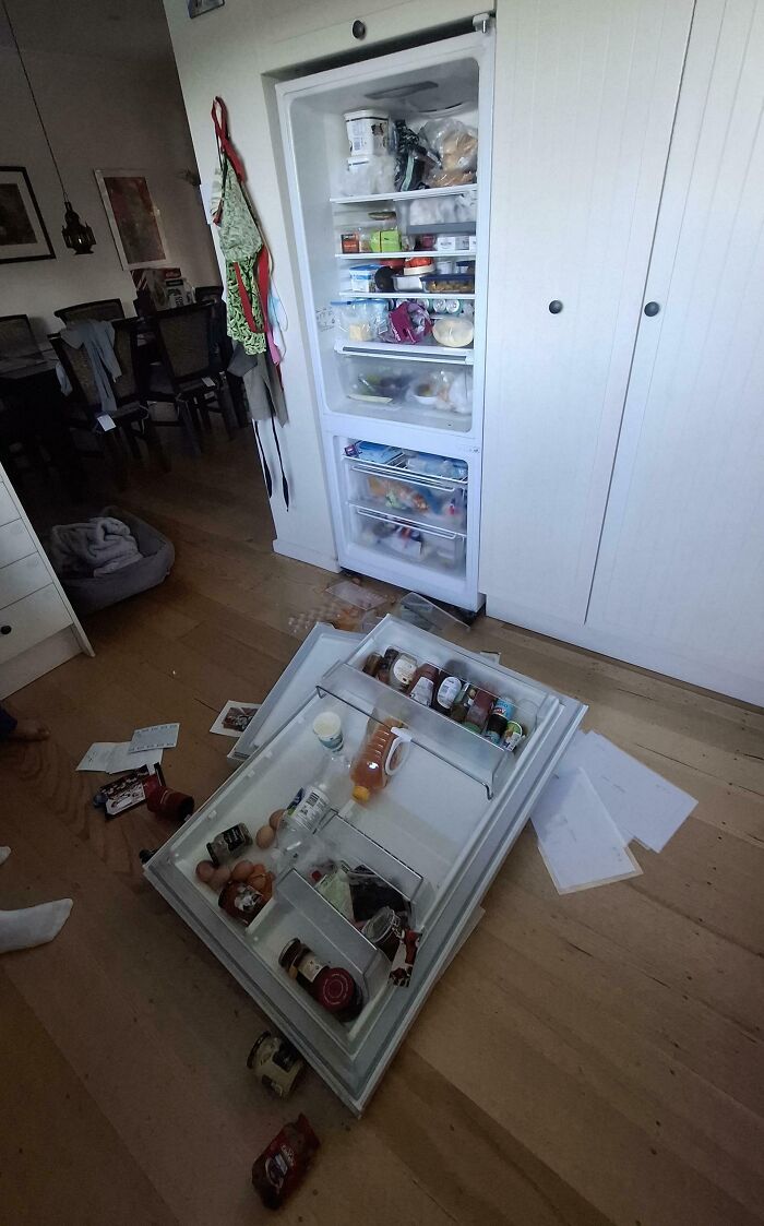 My Fridge Decided to Throw in the Towel