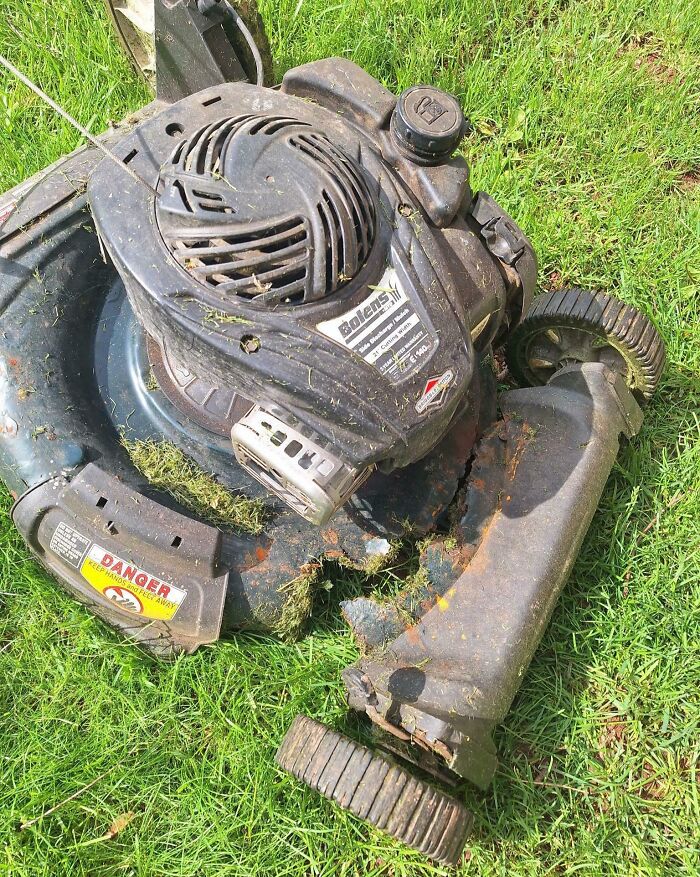 Mom Tried Mowing... And it Got Real