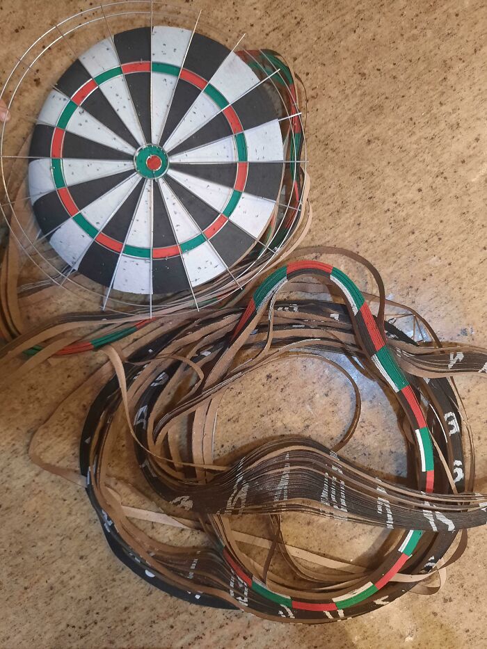 Dartboard Fell Apart and Was Just Cardboard Paint the Whole Time