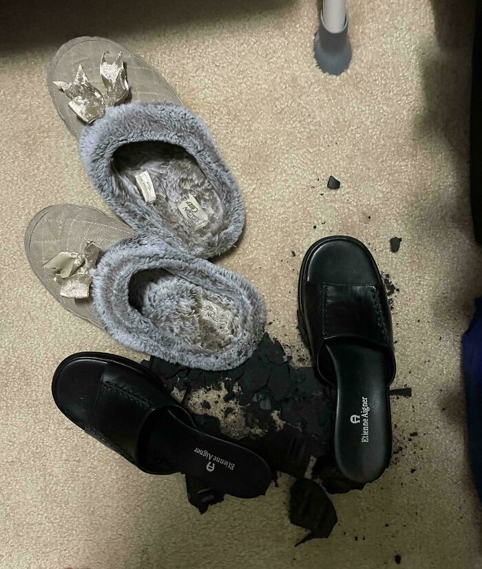 Unused Shoes From Years Ago Went Full Disintegrate Mode