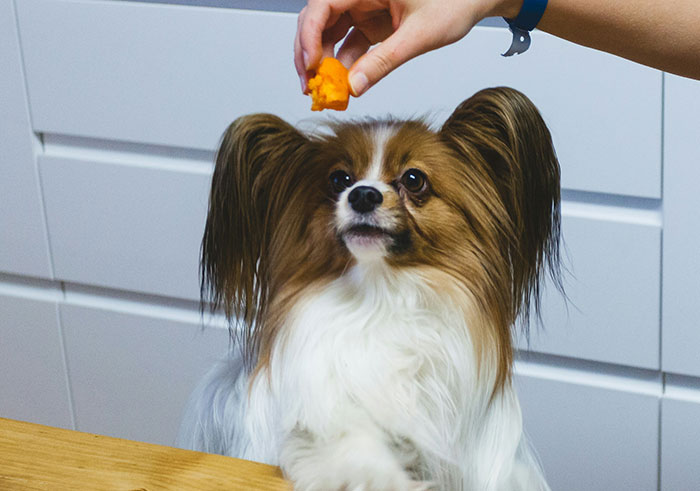 Wait, They Actually Ranked That?! 59 Wildly Weird Moments of Genius