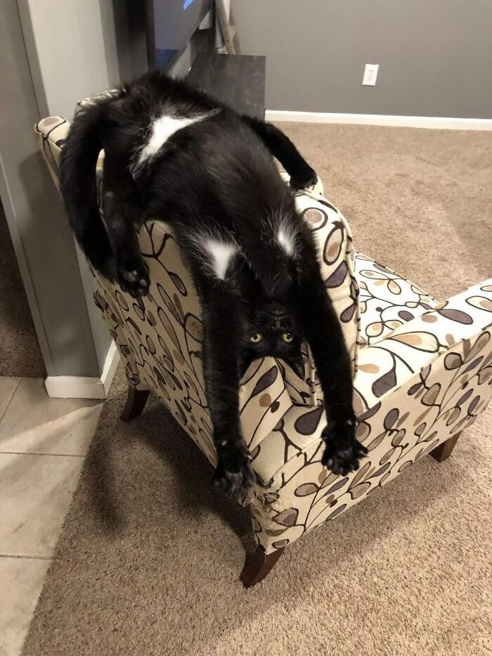 The Ultimate Upside Down Spot