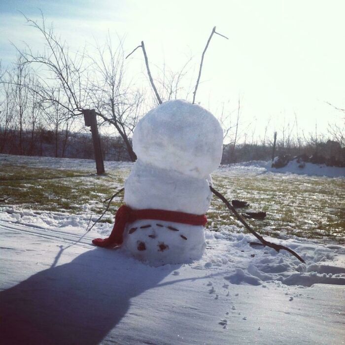 When Snowmen Go Rogue: Upside Down Edition