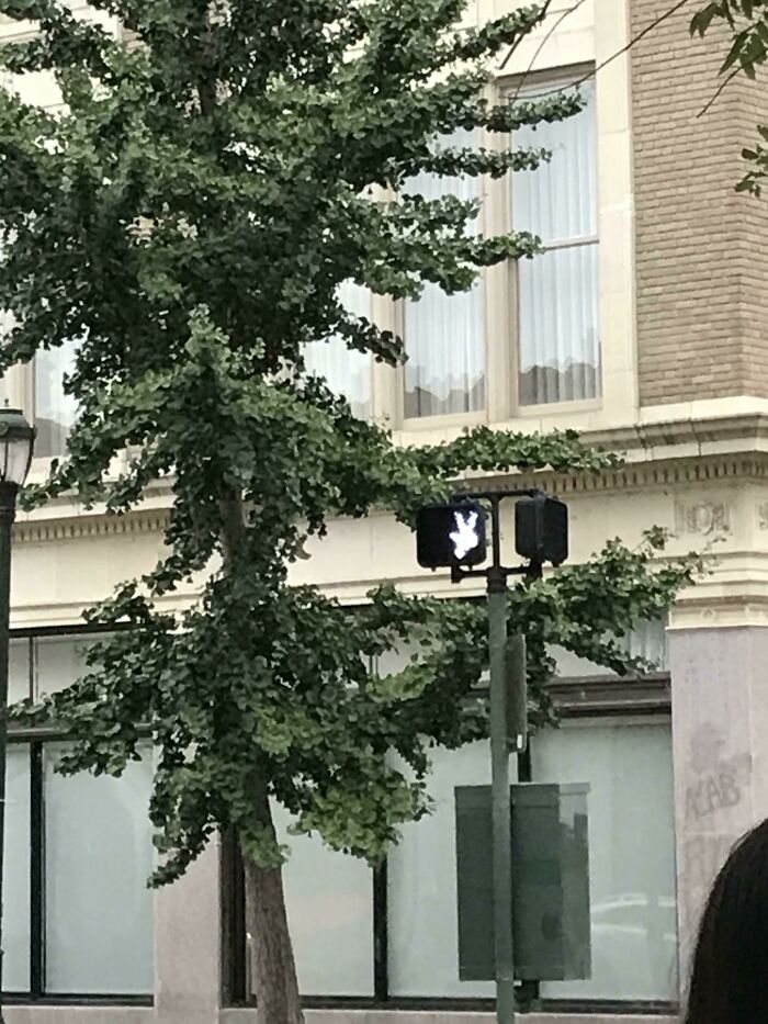 Crosswalk Person Doing The Upside Down Shuffle