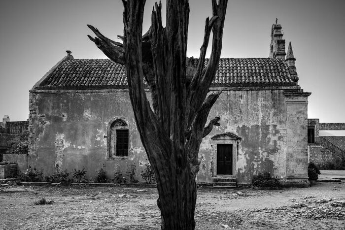 "Time Guard" By Barbara Nichtern