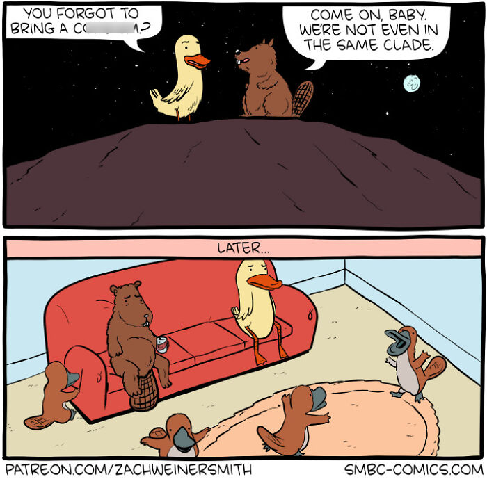 Get Ready to Chuckle: 50 Hilariously Smart Comics That’ll Make Your Brain Do a Happy Dance