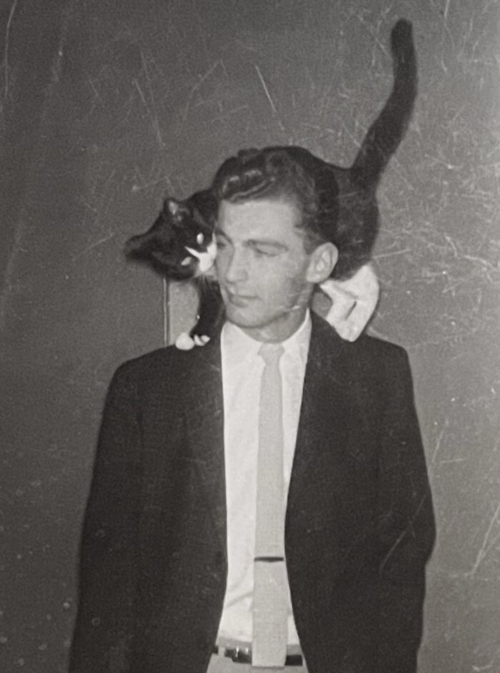 Vintage Cat Pics That Prove Cats Have Always Owned Us