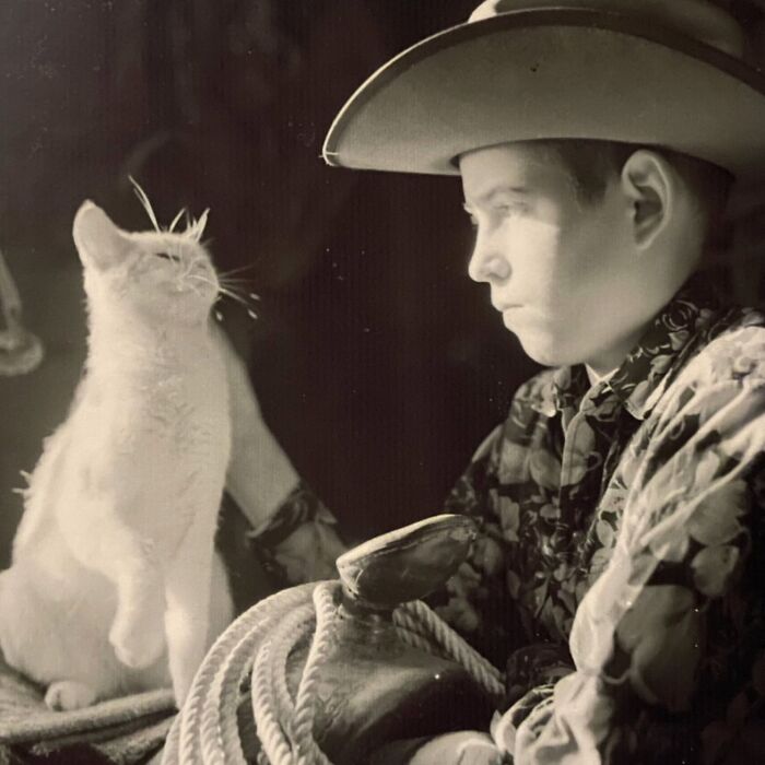 Vintage Cat Pics That Prove Cats Have Always Owned Us